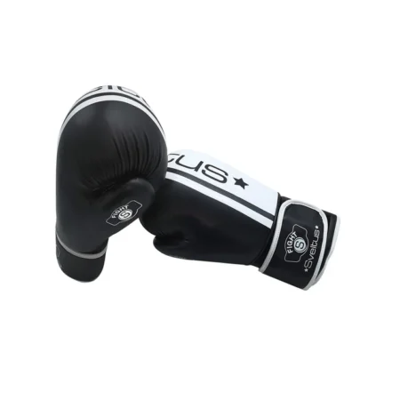 Gant boxe challenger  16oz x2