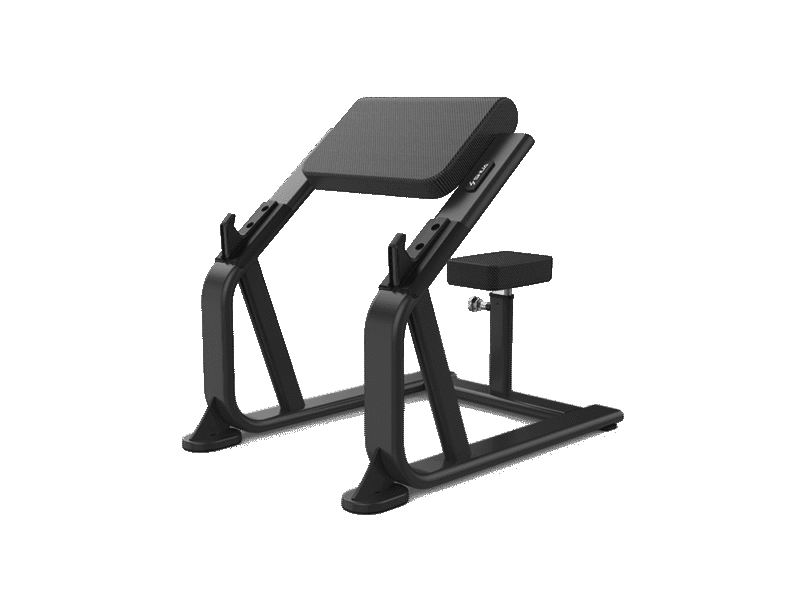 Seated Arm Curl - SHUA