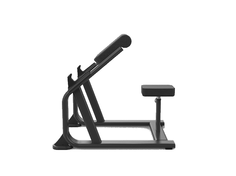 Seated Arm Curl - SHUA – Image 2
