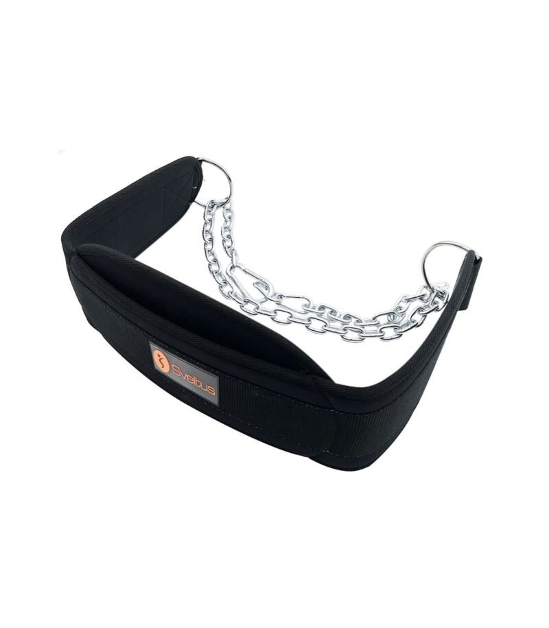 Ceinture lestable