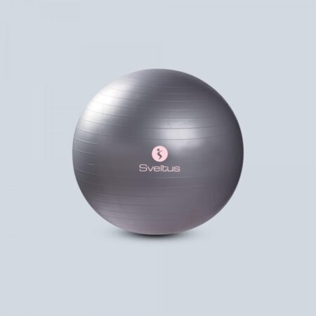 GYMBALL GRIS Ø65 CM BTE SVELTUS REF 0440