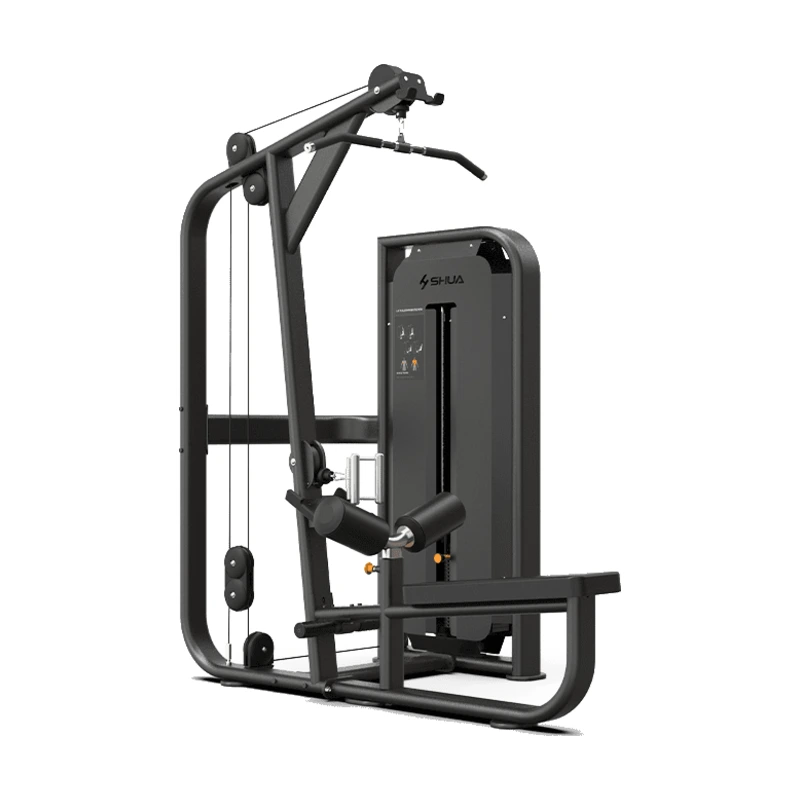 Lat Pulldown/Seated Row