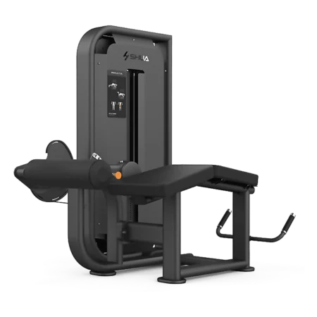Prone Leg Curl – SHUA - LIFEFIT Abidjan