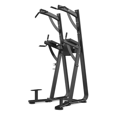 Chin Dip Leg Raise Station SHUA - LIFEFIT Abidjan