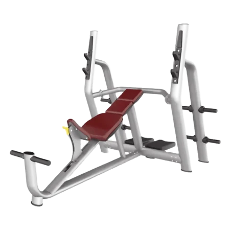 OLYMPIC DECLINE BENCH - LIFEFIT Abidjan