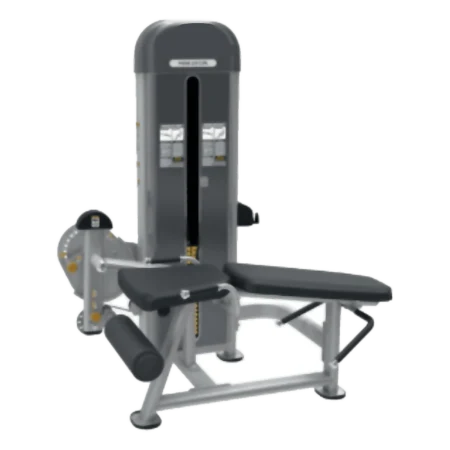 LEG CURL PRONE MODELE BE04-15 - LIFEFIT Abidjan