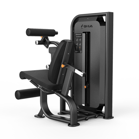 Seated Leg Curl/Extension SH-G6823