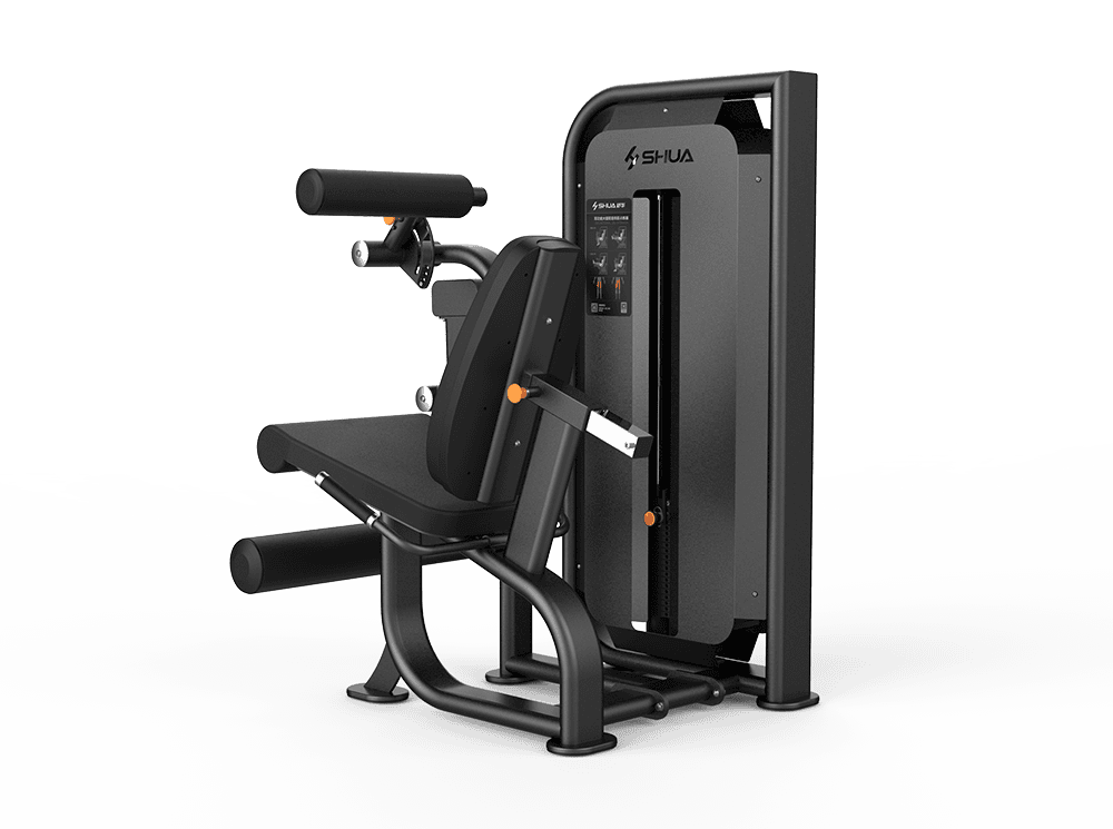 Seated Leg Curl/Extension SH-G6823