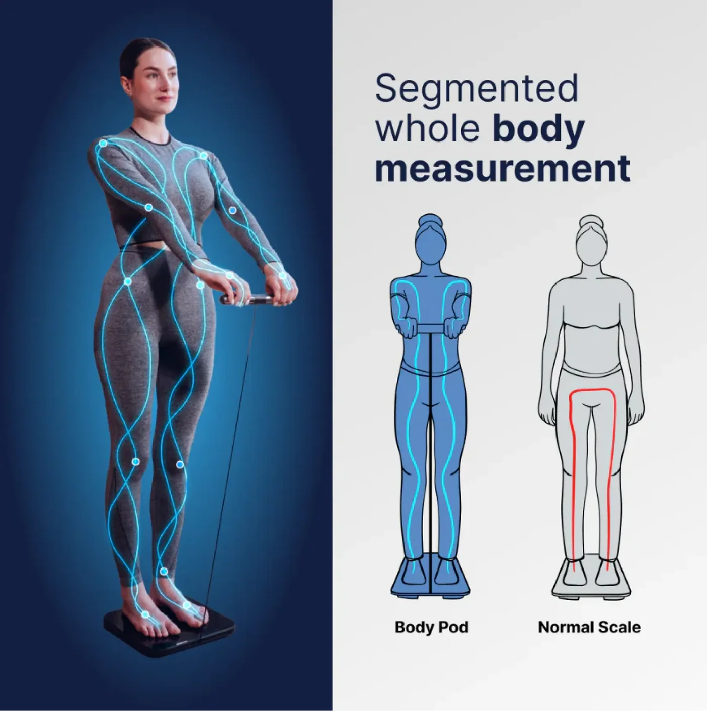 Mesure segmentaire du corps entier avec le Hume Body Pod
